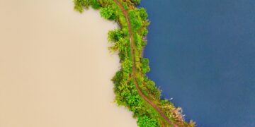 Exploring the Contrasts: India vs. Indonesia