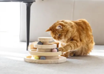 Ackermann – Moda, casa e molto altro per tutta la famiglia