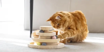 Ackermann – Moda, casa e molto altro per tutta la famiglia